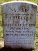 Charles Perkins Gravestone