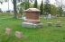 Perkins family memorial stone in Petrolia