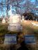 Lucius L & Elizabeth Day Gravestone