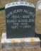 Orin Henry & Nancy A (Hadlock) Palmer Gravestone